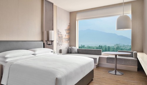 Habitación Premier, 1 cama doble