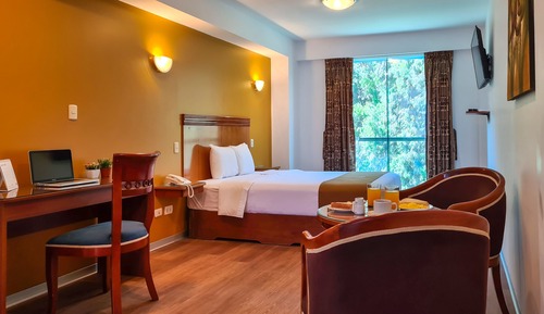 Habitación Deluxe, vistas al parque