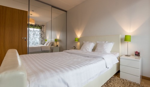 Apartment, 1 Bedroom (Narva street 5)