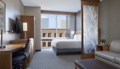 Habitación, 1 cama de matrimonio grande con sofá cama (Shower)