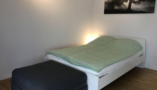 Apartamento, 1 cama doble (32)