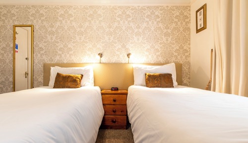 Habitación estándar con 2 camas individuales, baño privado, planta baja (dog accepted on request)