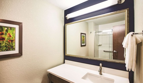 Suite Deluxe, 1 cama de matrimonio grande, no fumadores (Efficiency)