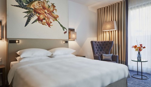 Habitación, 1 cama de matrimonio grande (Club Access)