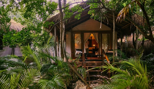 Habitación (Jungle)