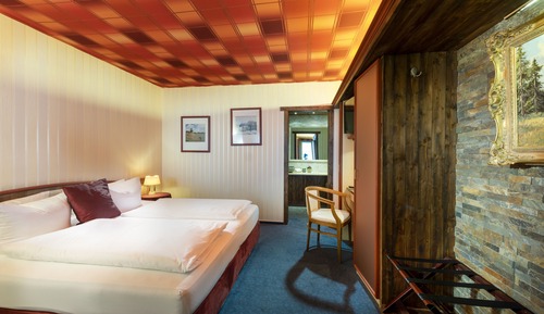 Habitación Business doble de uso individual, 1 cama de matrimonio, no fumadores, planta baja