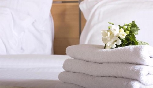 Standard PwD Disability Access - 1 Queen Bed