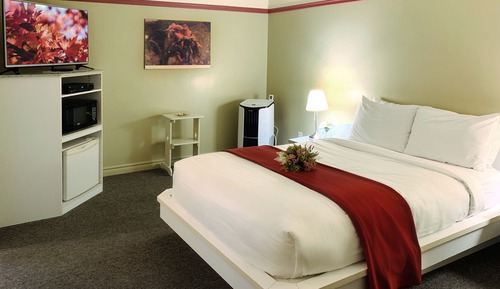 Habitación estándar, 1 cama doble