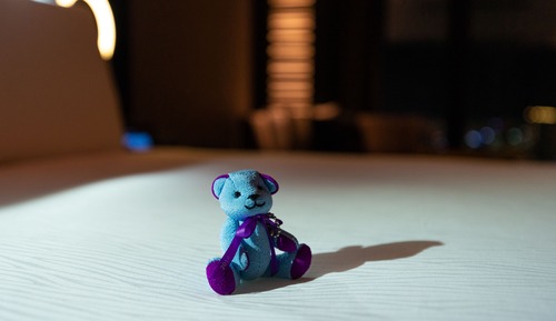 Habitación Deluxe con 2 camas individuales