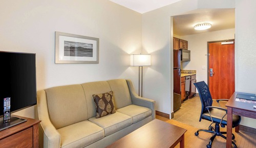 Suite, 1 cama de matrimonio con sofá cama, no fumadores (Efficiency, 2 Person Sofa bed)