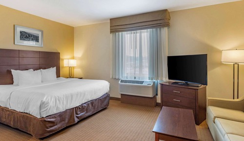 Suite, 1 cama de matrimonio grande con sofá cama, no fumadores (Efficiency)