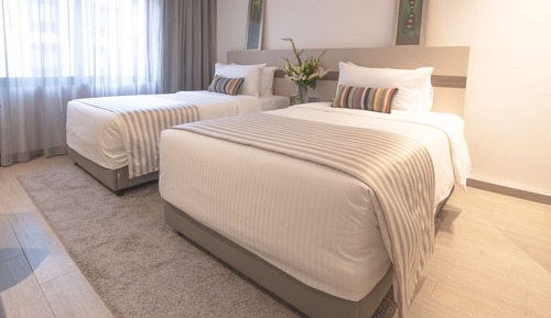 Habitación Deluxe con 2 camas individuales