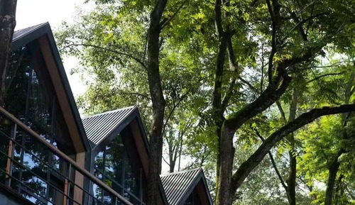 Superior Tree House, Pets Allowed, Overwater