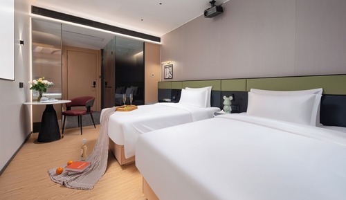 Quiet and luxurious city view twin Room