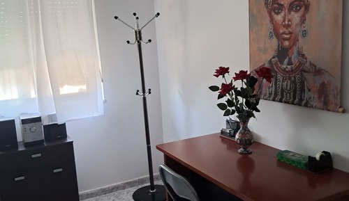 Economy Single Room, Vineyard View