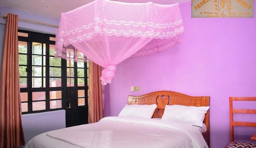 Habitación individual Deluxe, vistas a la piscina