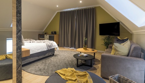 Habitación clásica con 1 cama doble o 2 individuales, vistas al jardín