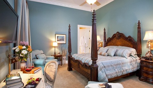 Habitación individual Deluxe, vistas al río