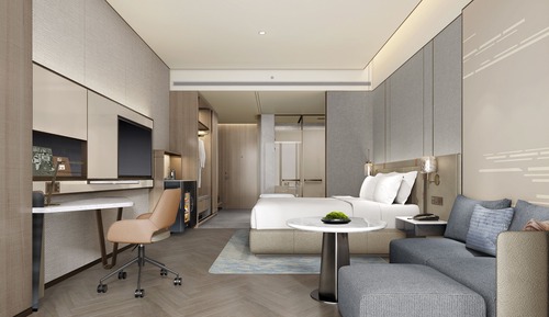 Standard Room, 1 King Bed, Accessible