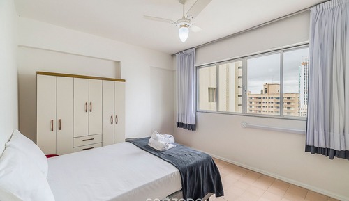 Basic Apartment