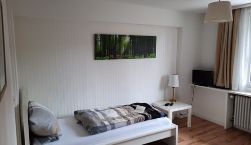 Habitación individual básica, vistas al valle