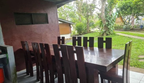 Casa en un árbol básica, vistas al jardín