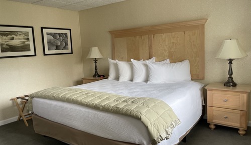 Habitación, 1 cama de matrimonio grande con sofá cama