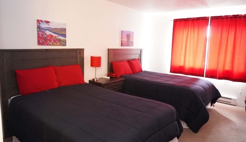 Habitación estándar doble, 2 camas dobles