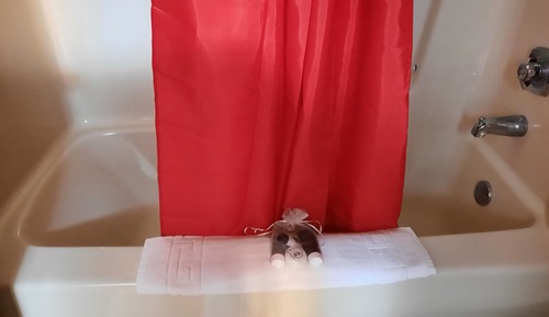 Habitación individual económica