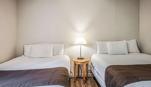 Suite, 1 habitación