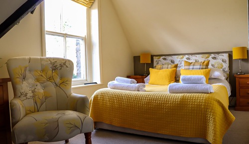 Habitación básica doble, 1 cama doble