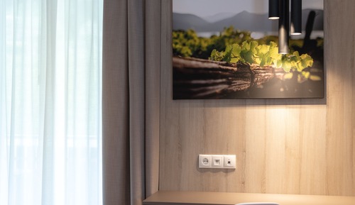 Habitación básica doble, 1 cama doble