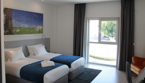 Habitación con 2 camas individuales (Single Use)