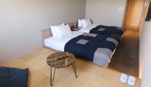 Habitación Deluxe con 2 camas individuales, no fumadores (Penthouse, only Shower 207)