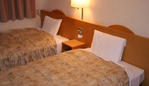 Habitación estándar con 2 camas individuales, fumadores