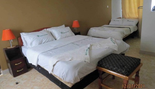 Habitación Deluxe con 2 camas individuales, vistas a la piscina