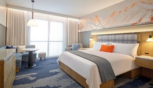 Habitación Deluxe, 1 cama de matrimonio grande