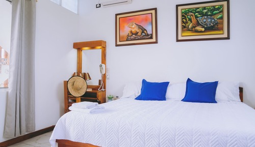 Habitación individual estándar