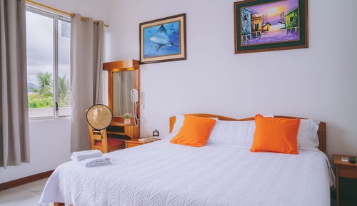 Habitación Confort con 1 cama doble o 2 individuales
