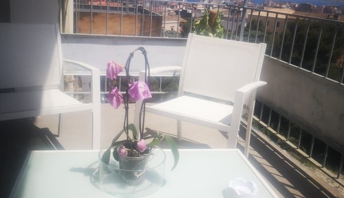 Apartamento familiar, vistas al mar