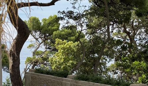 Habitación con 2 camas individuales