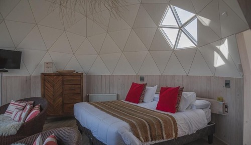 Cabin, 1 King Bed