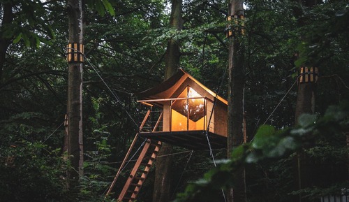 Casa en un árbol, vistas al jardín