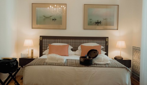 Habitación con 1 cama doble o 2 individuales (Deluxe Premium)
