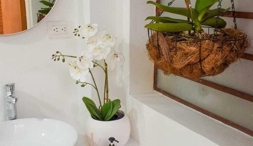 Habitación individual básica, Servicio de limpieza, vistas al jardín