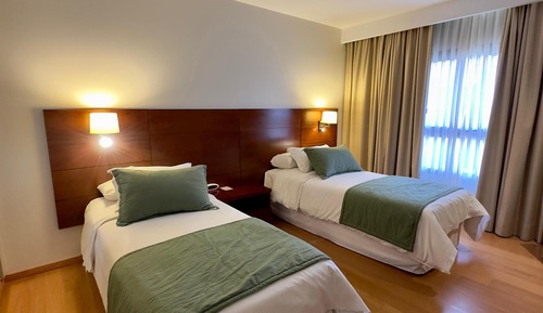 Habitación estándar con 1 cama doble o 2 individuales, vistas a la montaña