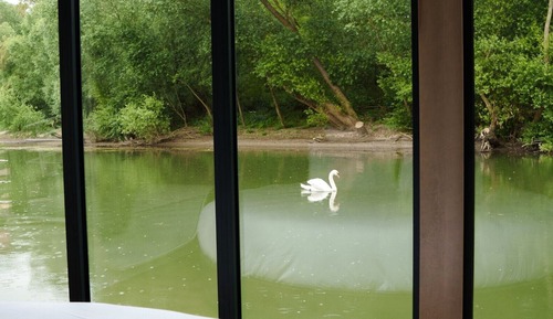 Suite panorámica, vistas al río