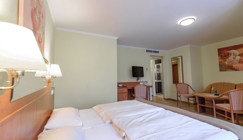 Habitación Deluxe doble, balcón, vistas al patio