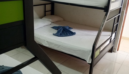 Habitación cuádruple familiar