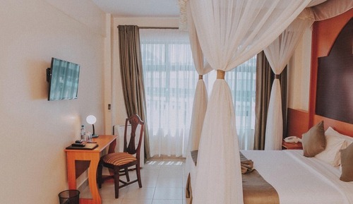 Habitación individual superior, vistas a la piscina